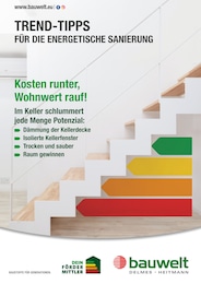 Delmes Bauwelt Prospekt "Trend-Tipps FÜR DIE ENERGETISCHE SANIERUNG" für Norderstedt, 10 Seiten, 14.02.2025 - 23.02.2025