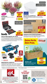 Pflanzen im toom Baumarkt Prospekt "Respekt, wer's selber macht." mit 20 Seiten (Cottbus)