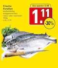 Frische Forellen Angebote bei WEZ Minden für 1,11 €