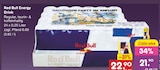 Energy Drink im Angebot bei Netto Marken-Discount in Oberursel Energy Drink Angebote von Red Bull bei Netto Marken-Discount Oberursel für 21,90 €
