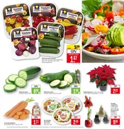 Weihnachtsstern im Marktkauf Prospekt in Lörrach Aktueller Marktkauf Prospekt mit Weihnachtsstern, "Aktuelle Angebote", Seite 3