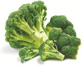Broccoli im aktuellen Netto mit dem Scottie Prospekt