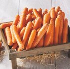 Carotte - INTERMARCHÉ TERROIRS en promo chez Intermarché Hyper Carotte - INTERMARCHÉ TERROIRS dans le catalogue Intermarché Hyper