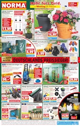 Gartenhaus Angebot im aktuellen Norma Prospekt auf Seite 1