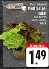 EDEKA Waldfeucht - Multicolorsalat Angebot im Prospekt Multicolorsalat bei EDEKA im Waldfeucht Prospekt für 1,49 €
