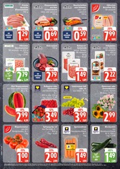 Ähnliche Stiefmütterchen Angebote im Prospekt "Top Angebote" von EDEKA in Seevetal Ähnliche Angebote wie Stiefmütterchen im Prospekt "Top Angebote" auf Seite 2 von EDEKA in Seevetal