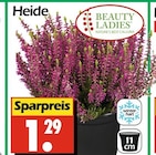 Angebot im Wreesmann Kospoda Prospekt Wreesmann Kospoda Prospekt mit im Angebot für 1,29 €