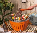Grill Classic von Lotus Grill im aktuellen Segmüller Prospekt für 169,99 €