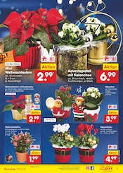 Aktueller Netto Marken-Discount Prospekt mit Weihnachtsstern, "Aktuelle Angebote", Seite 7