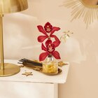 Orchidée 2 fleurons en vase avec encens en promo chez Carrefour Market Dunkerque à 7,49 €