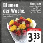 EDEKA Soest - Moosrosen Angebot im Prospekt Moosrosen bei EDEKA im Soest Prospekt für 3,33 €