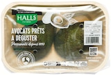 Avocats mûrs à point variété Hass - Halls en promo chez Colruyt Avocats mûrs à point variété Hass - Halls dans le catalogue Colruyt