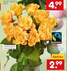 Edelrosen von Fairtrade im aktuellen Netto Marken-Discount Prospekt