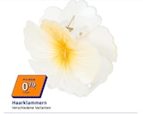 Action Bad Salzungen - Haarklammern Angebot im Prospekt Haarklammern bei Action im Bad Salzungen Prospekt für 0,79 €