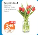 V-Markt Mindelheim - Tulpen im Bund Angebot im Prospekt Tulpen im Bund bei V-Markt im Mindelheim Prospekt für 3,49 €