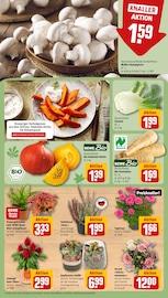 Champignons im REWE Prospekt in Hannover Aktueller REWE Prospekt mit Champignons, "Dein Markt", Seite 13