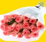 WEZ - Rosen Angebot im Prospekt Rosen bei WEZ im Prospekt "" für 4,99 €