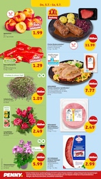 Blumen im Penny Prospekt Blumen im Penny Prospekt Wer gĂĽnstig will, muss Penny. auf S. 36