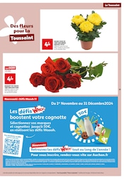 Chrysanthèmes Angebote im Prospekt "MES 25 JOURS Auchan" von Auchan Hypermarché auf Seite 39