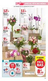 Promos Plante Verte dans le catalogue "Super U" de Super U Plante Verte en promo dans le catalogue Super U à la page 25