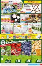 Norma Klapptisch im Prospekt 