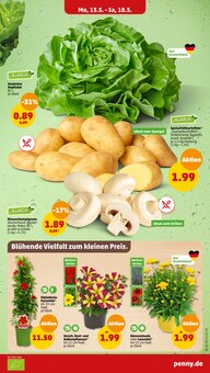 Gemüse im Penny-Markt Prospekt "Wer günstig will, muss Penny." mit 38 Seiten (Chemnitz)