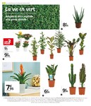 Plantes Plantes