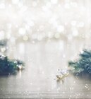 Kellerregal im Angebot bei Thomas Philipps in Erfurt Kellerregal Angebote bei Thomas Philipps Erfurt für 11,11 €