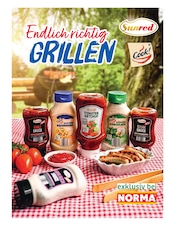 Aktueller Norma Prospekt mit Chili, "Mehr fürs Geld", Seite 27