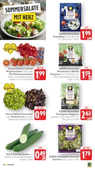 Gemüse im aktuellen EDEKA Prospekt (Pforzheim) Gemüse im EDEKA Prospekt "Aktuelle Angebote" mit 48 Seiten (Pforzheim)