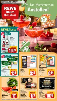 REWE Prospekt Dein Markt mit 30 Seiten