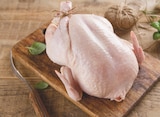 Poulet rôtissoire prêt à cuire avec sac - LES ÉLEVEURS DE LA CHAMPAGNE - Intermarché Contact à Rixheim Poulet rôtissoire prêt à cuire avec sac - LES ÉLEVEURS DE LA CHAMPAGNE en promo chez Intermarché Contact Rixheim à 4,15 €