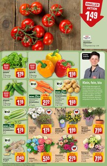 Kartoffeln im aktuellen REWE Prospekt (Heidelberg) Kartoffeln im REWE Prospekt "Dein Markt" mit 26 Seiten (Heidelberg)