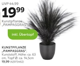 Kunstpflanze Pampasgras von  im aktuellen mömax Prospekt für 19,99 €