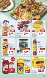 Cola im combi Prospekt in Hude Aktueller combi Prospekt mit Cola, "Markt - Angebote", Seite 19