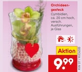 Orchideengesteck im aktuellen Netto Marken-Discount Prospekt
