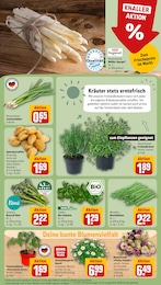 REWE Spargel im Prospekt REWE Spargel im Prospekt