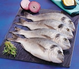 Daurade royale d'aquaculture en promo chez Super U Antibes à 11,50 €