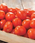 Tomate allongée en promo chez Intermarché Tomate allongée dans le catalogue Intermarché