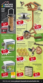 Vogelhaus im Sonderpreis Baumarkt Prospekt in Nordhausen Aktueller Sonderpreis Baumarkt Prospekt mit Vogelhaus, "… da, wo Werkzeuge stark und günstig sind!", Seite 3