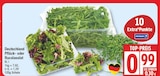 EDEKA Ahrensfelde - Pflück- oder Rucolasalat Angebot im Prospekt Pflück- oder Rucolasalat bei EDEKA im Ahrensfelde Prospekt für 0,99 €