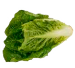 EDEKA Mölln Prospekt mit  im Angebot für 1,49 €