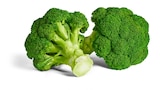 Broccoli Angebot in Frauwalde Broccoli im aktuellen Prospekt bei Penny in Frauwalde