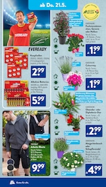 Aktueller ALDI SÜD Prospekt mit Lavendel, "Gutes für Alle.", Seite 19