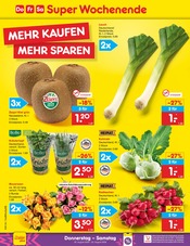 Ähnliche Obstbaum Angebote im Prospekt "Aktuelle Angebote" von Netto Marken-Discount in Lippstadt Ähnliche Angebote wie Obstbaum im Prospekt "Aktuelle Angebote" auf Seite 3 von Netto Marken-Discount in Lippstadt