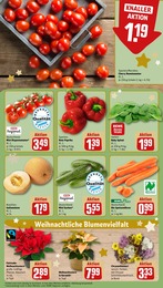 Bio Möhren Angebot & Preis im aktuellen REWE Prospekt Bio Möhren Angebot im aktuellen REWE Prospekt auf Seite 7