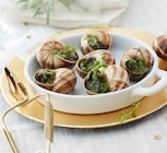 Auchan Hypermarché Castres - Promo 12 ESCARGOTS FRANÇAIS FILIÈRE AUCHAN "CULTIVONS LE BON" Promo 12 ESCARGOTS FRANÇAIS FILIÈRE AUCHAN "CULTIVONS LE BON" à 8,49 € dans le catalogue Auchan Hypermarché à Castres