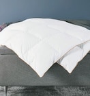 Aktuelle Bettdecke Angebote bei JYSK in Regensburg Aktuelles HATTEN Gänsedaunen-Bettdecke Angebot bei JYSK in Regensburg ab 84,99 €