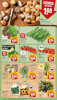 Rumpsteak im REWE Prospekt "Dein Markt" mit 35 Seiten (Recklinghausen)