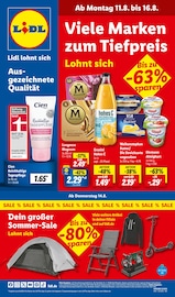 Aktueller Lidl Prospekt mit Zelt, "LIDL LOHNT SICH", Seite 1